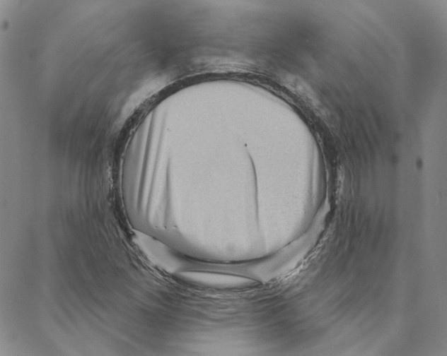 X0000088161261200706121552