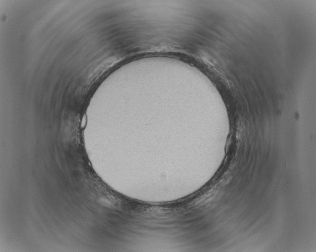 X0000088161265200706121552