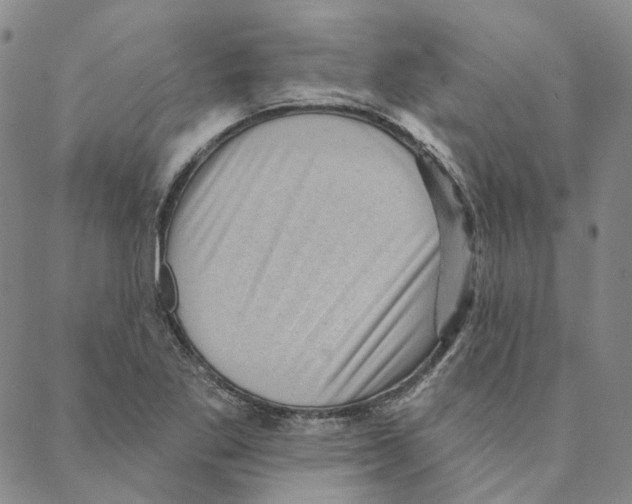 X0000088161269200706121552
