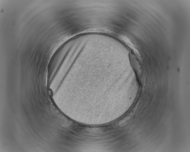 X0000088161276200706121552