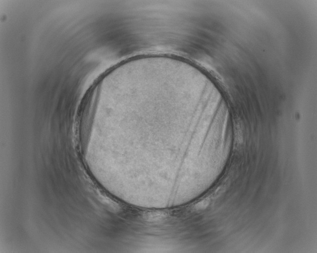 X0000088161278200706121552