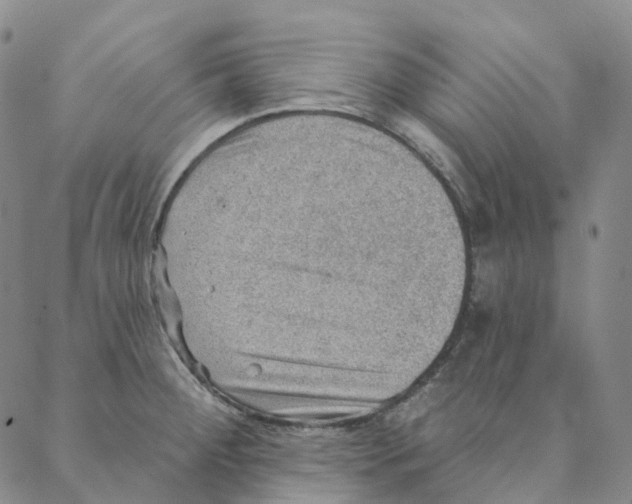 X0000088161284200706121552