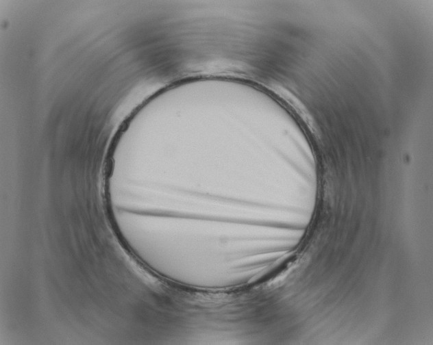 X0000088161285200706121552