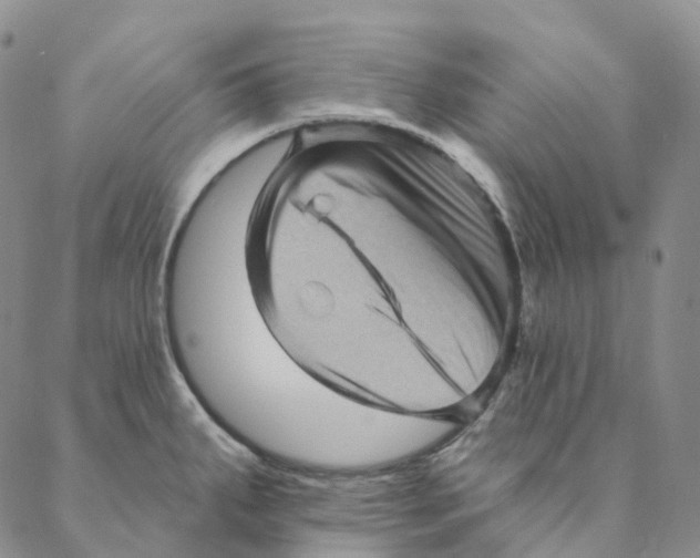 X0000088161287200706121552
