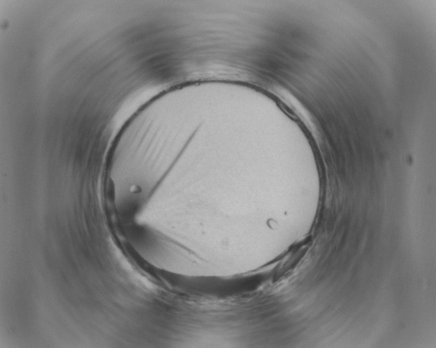 X0000088161293200706121552