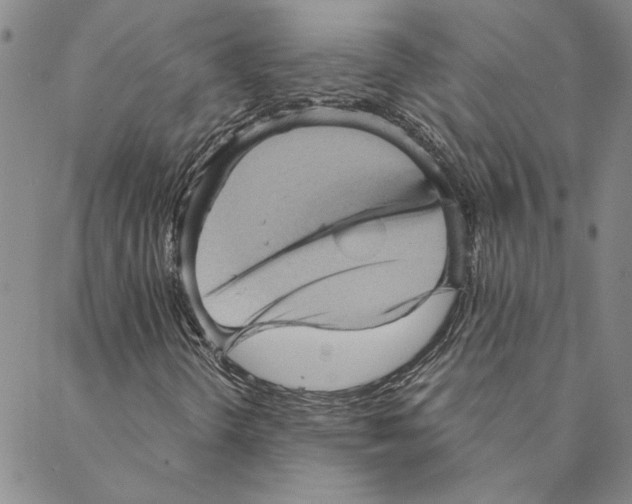 X0000088161298200706121551