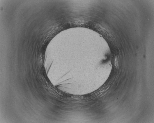 X0000088161299200706121551