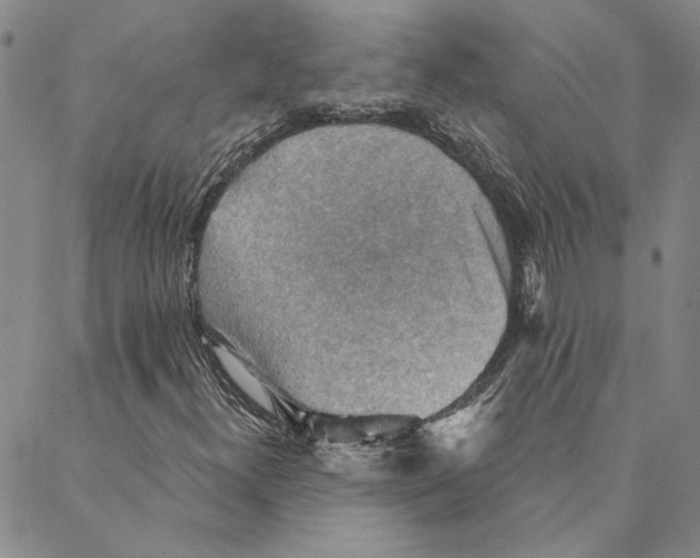 X0000088161300200706121551