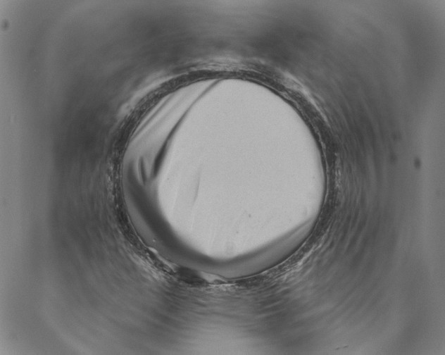 X0000088161304200706121551