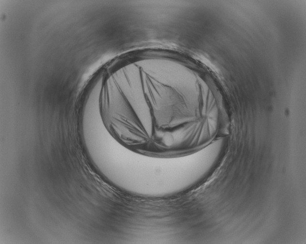 X0000088161310200706121551