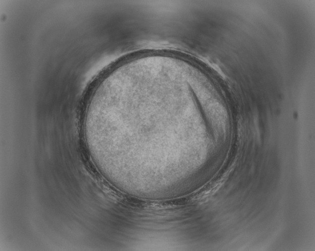 X0000088161311200706121551