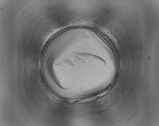 X0000088161316200706121551