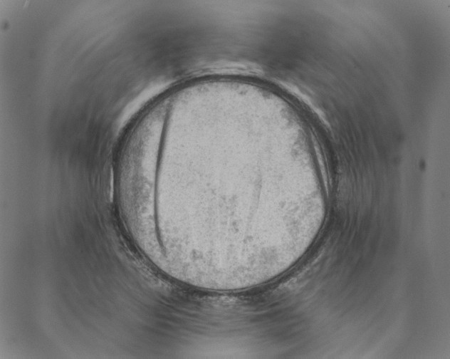 X0000088161317200706121551