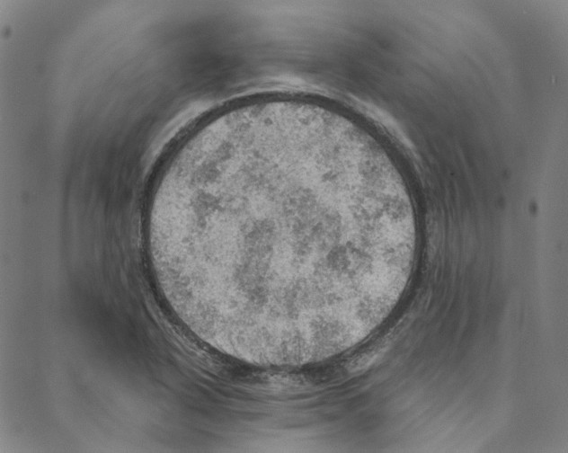X0000088161318200706121551