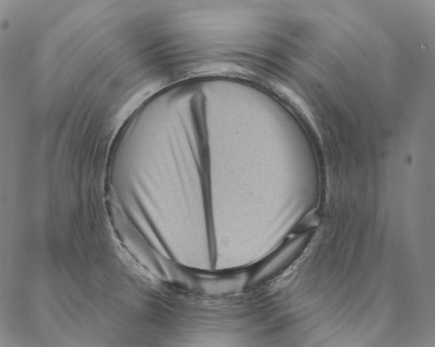 X0000088161330200706121552