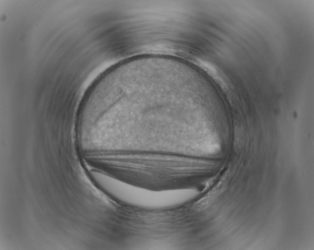X0000088161331200706121552