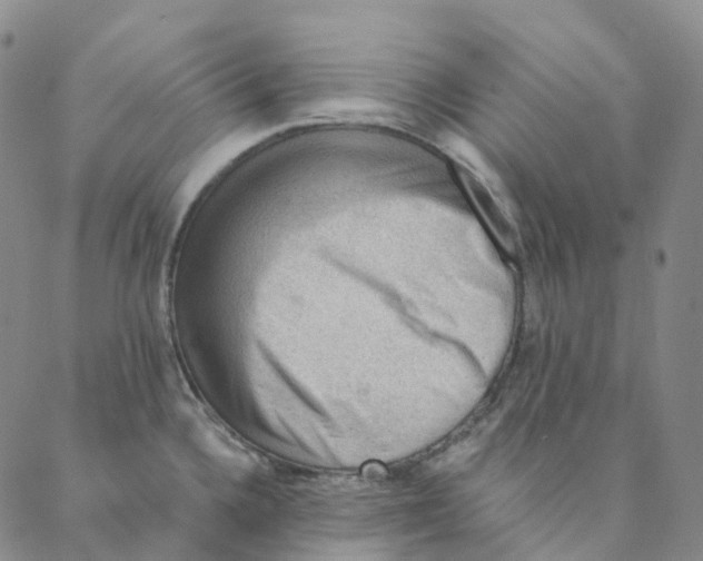 X0000088161336200706121552