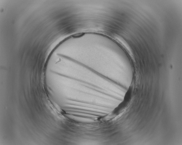 X0000088161340200706121552
