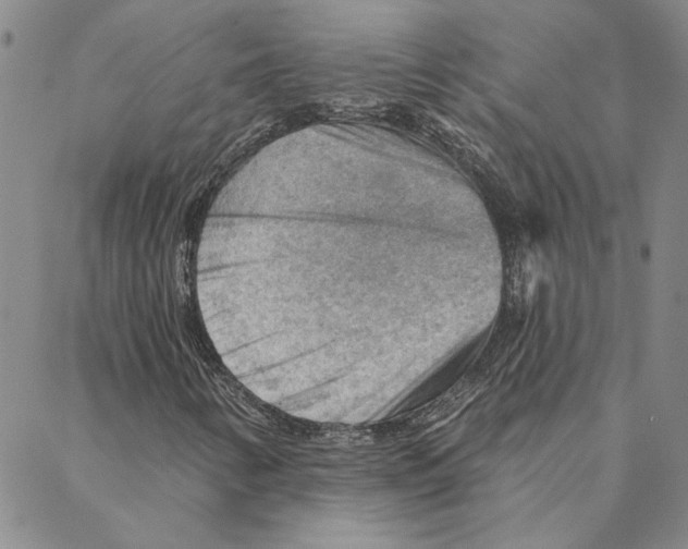 X0000088161346200706121551