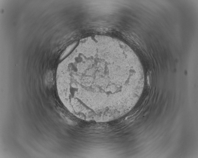 X0000088161347200706121551
