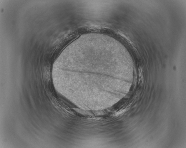 X0000088161348200706121551