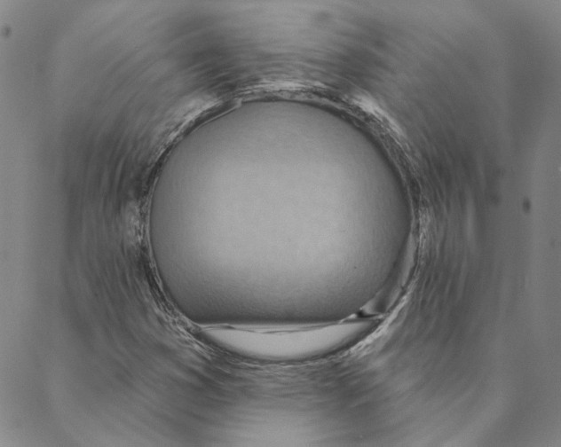 X0000088161353200706121551