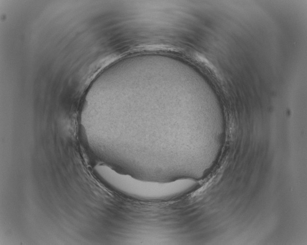 X0000088161361200706121551