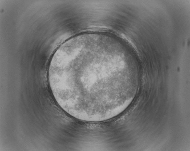 X0000088161362200706121551