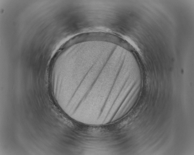 X0000088161364200706121551
