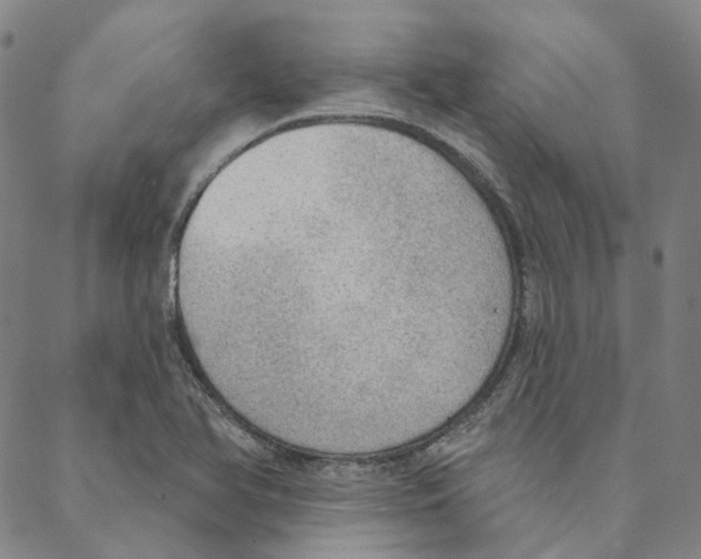X0000088161366200706121551