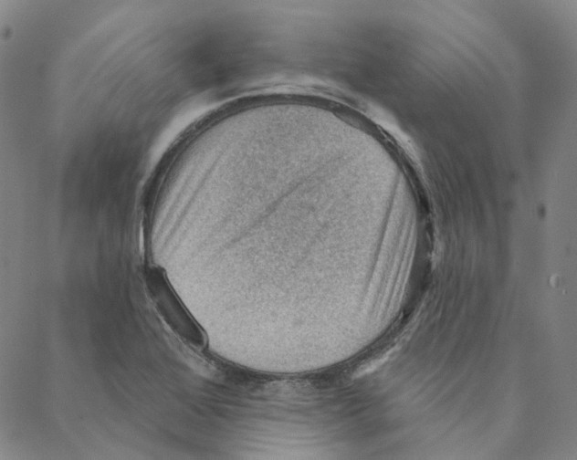 X0000088161368200706121551