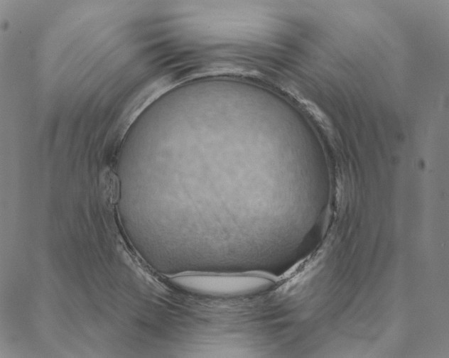 X0000088161369200706121551