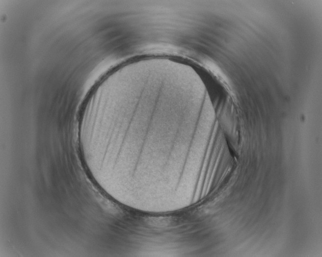 X0000088161376200706121550