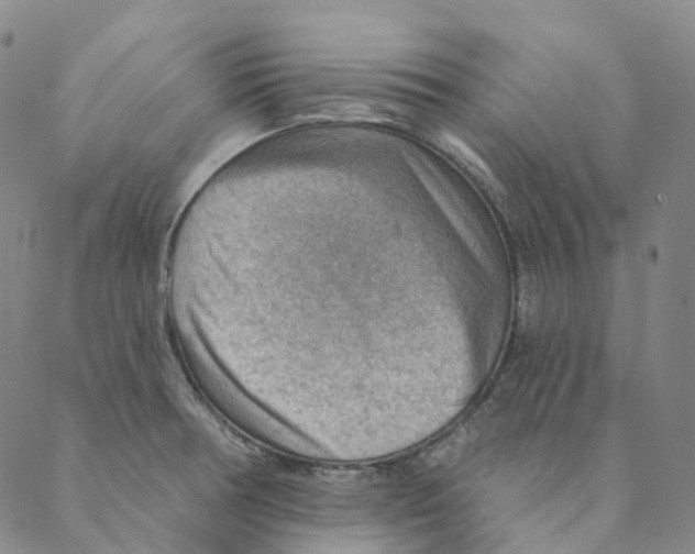 X0000088161378200706121550