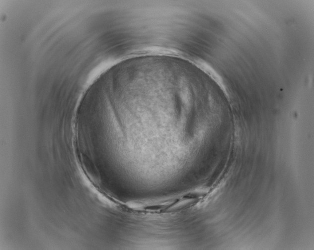 X0000088161381200706121550