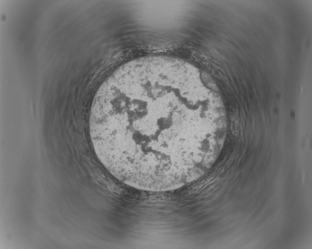 X0000088161393200706121549