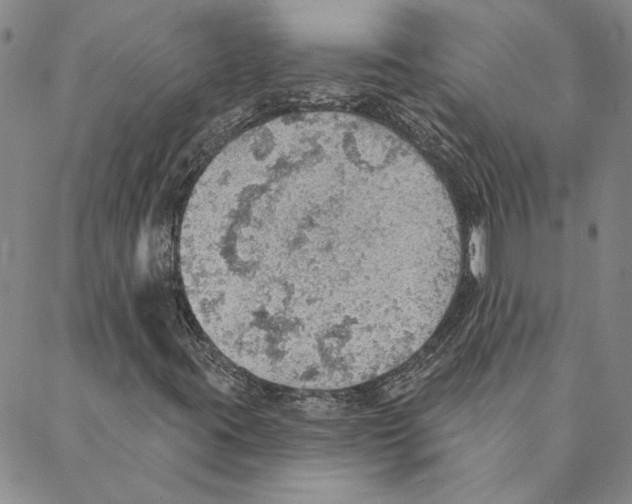 X0000088161395200706121549