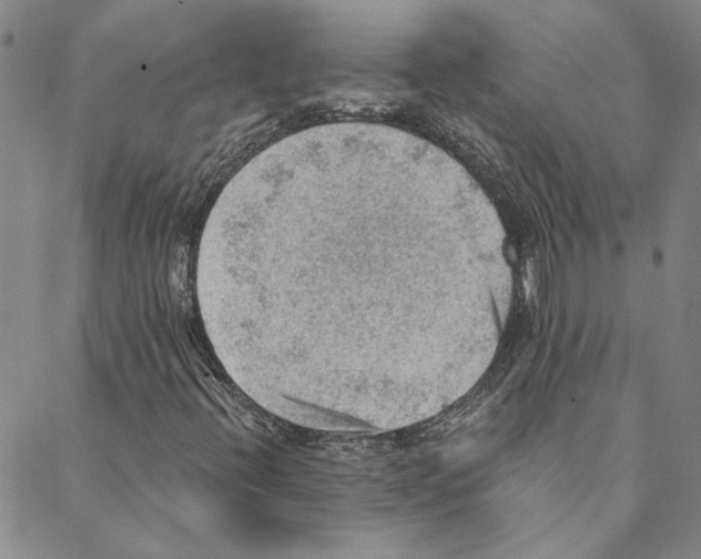 X0000088161396200706121549