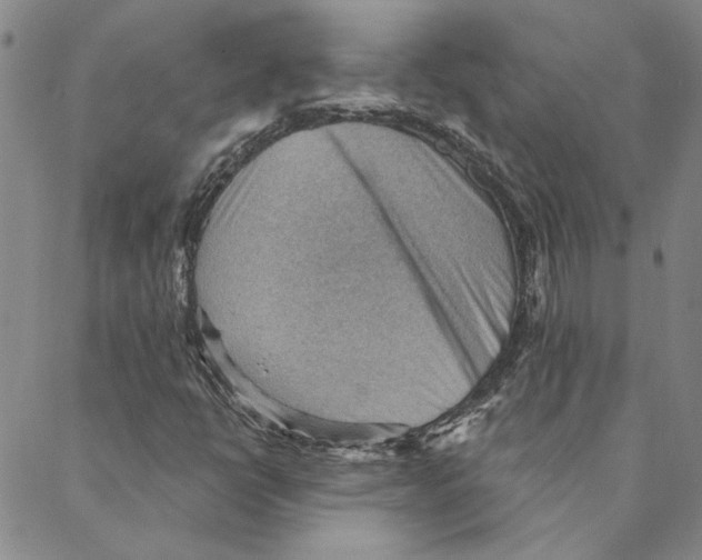 X0000088161398200706121550