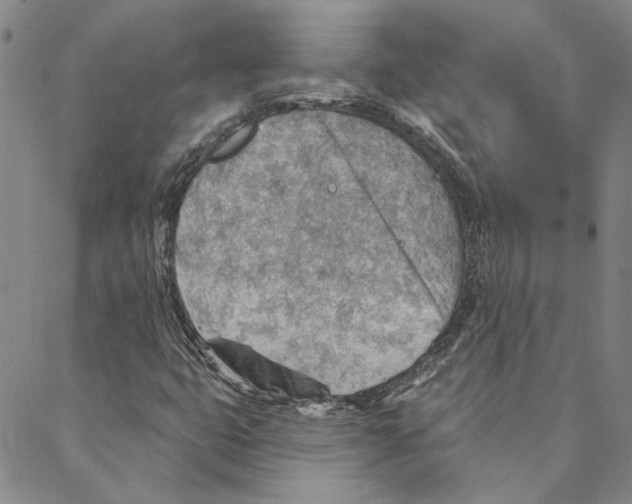 X0000088161399200706121550