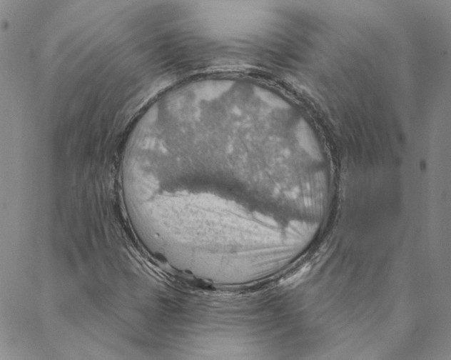 X0000088161401200706121550