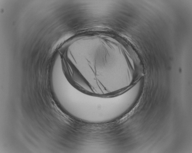 X0000088161402200706121550