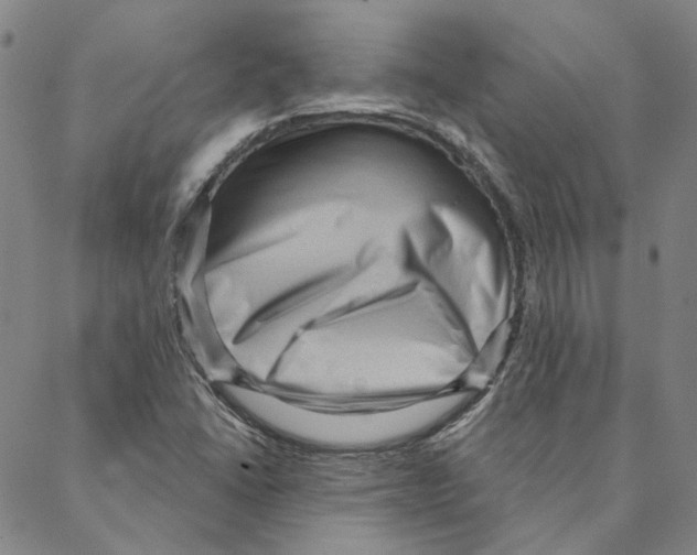 X0000088161406200706121550