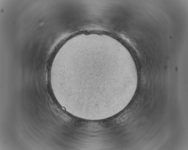 X0000088161408200706121550