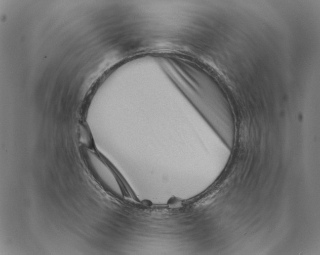 X0000088161410200706121550