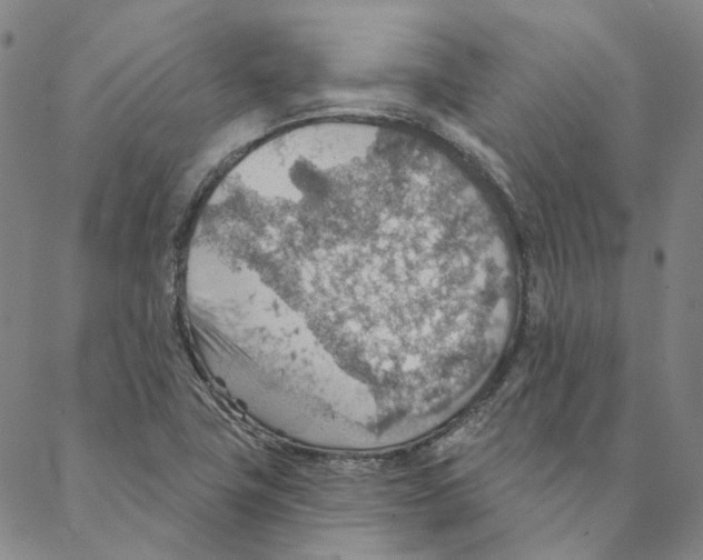 X0000088161411200706121550