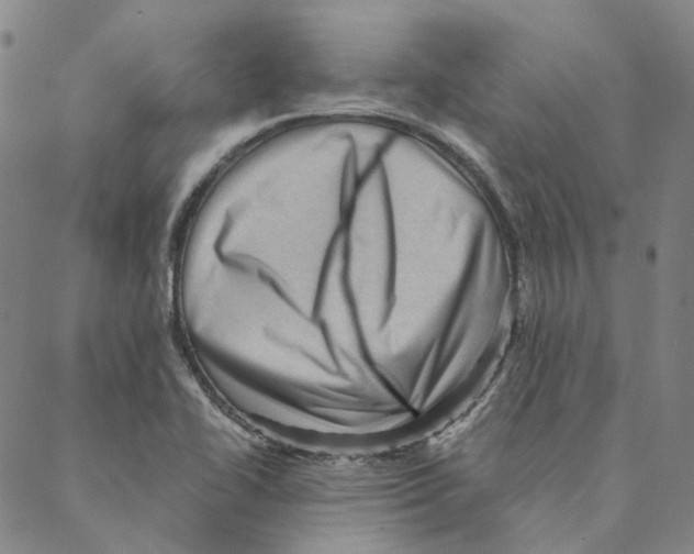 X0000088161414200706121550