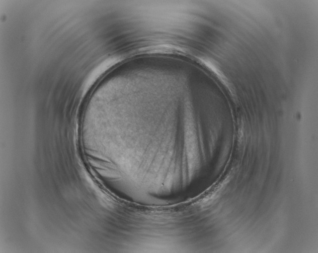 X0000088161418200706121550