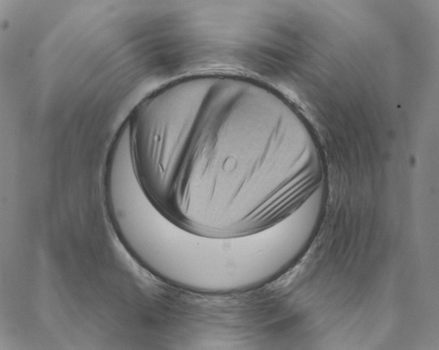 X0000088161422200706121550