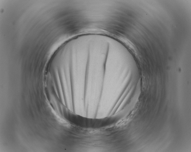 X0000088161430200706121550